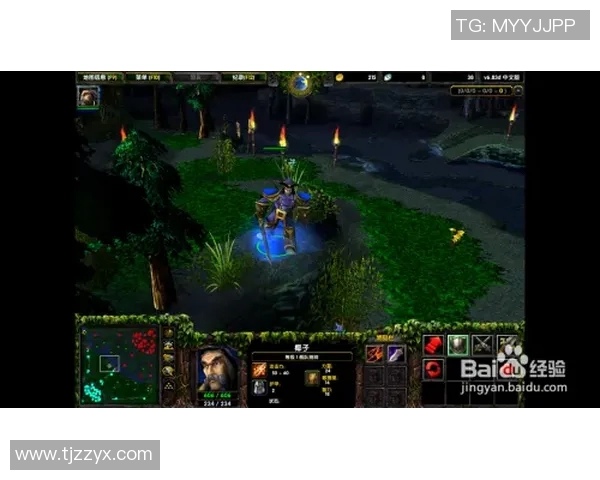 DOTA2战队JDG的崛起之路与辉煌成就全景回顾