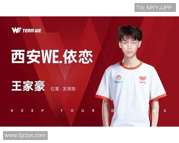 王者荣耀中的传奇之路WE战队的崛起与突破历程全景回顾 王者荣耀中的传奇之路WE战队的崛起与突破历程全景回顾