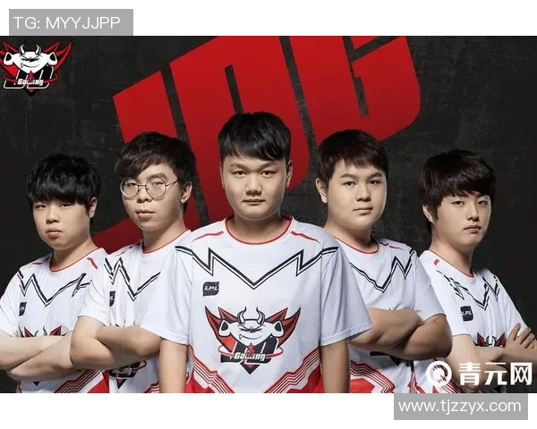 王者荣耀中的传奇之路JDG战队的成长与辉煌历程揭秘